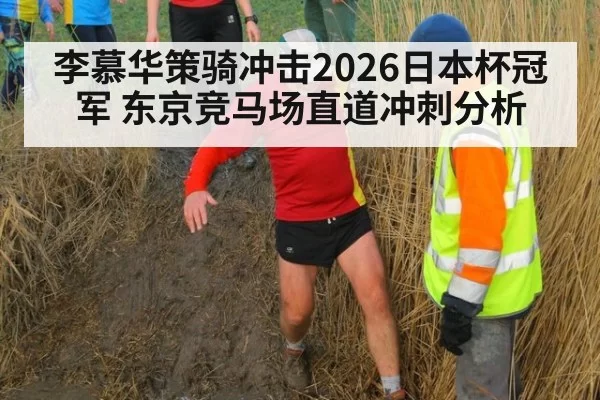 李慕华策骑冲击2026日本杯冠军 东京竞马场直道冲刺分析